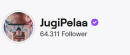 JugiPalea Twitch logo
