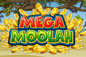 microgaming mega moolah